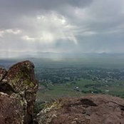 Natalie Mann's photo