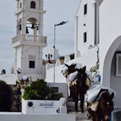 Rosanne LeBaige's photo
