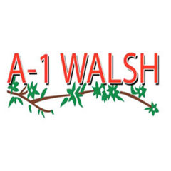 A-1 Walsh