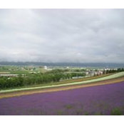 林孟璇's photo