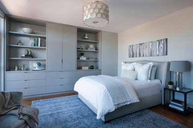 Bedroom - transitional bedroom idea in Chicago