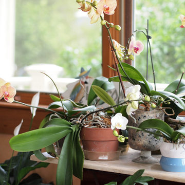 My Houzz: Art and Antiques in a Louisiana Center-Hall Cottage