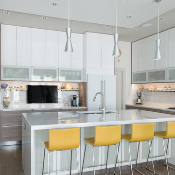 Modern Kitchen in Urban Home