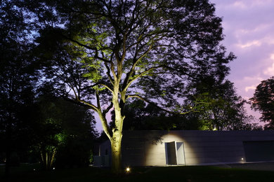 Design ideas for a large modern partial sun front yard gravel landscaping in Chicago for summer.