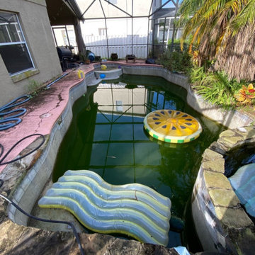 Pool Cleanup in St. Pete