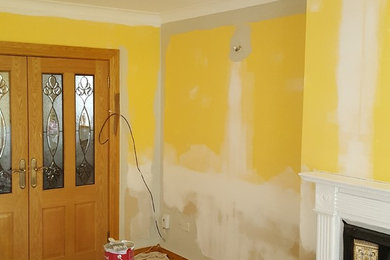 House painting project in Dublin
