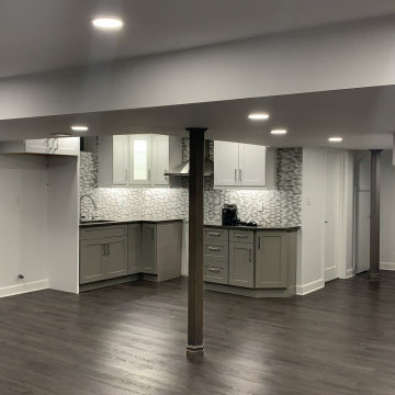 Full Basement Renovation