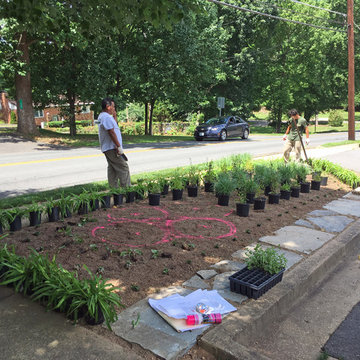 Day 2 - Bed D - layout the native plants, only the non-woodies delivered today