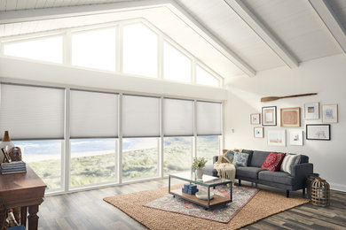 Example of a living room design in San Francisco