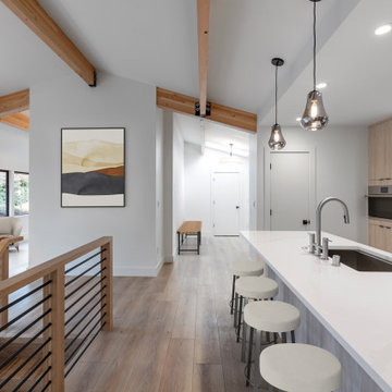 Carkeek Major Remodel