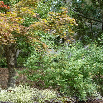 Port Royal Plantation
