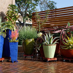 Courtyard Designs - Modern - Patio - San Diego - by Singing Gardens