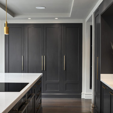 Castleknock ¦ Contemporary Classic ¦ Private Residence