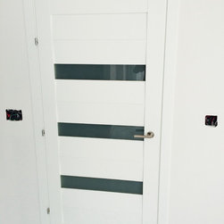 Modern Swing Door with Laminate Insert in Matte White Finish - Interior Doors