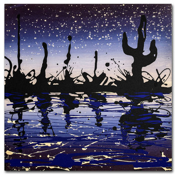 'Desert Lake' Canvas Art by Roderick Stevens