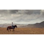 Marcus Olsson's photo