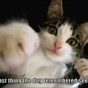 Keli Nelson's photo