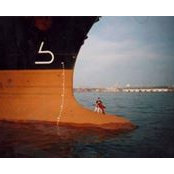 Avhram Rodriguez's photo