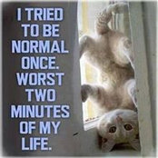 Kathy Miller's photo