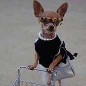 Beth Truitt's photo