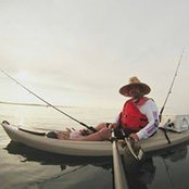Jack Elliott's photo