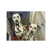 Tina Norval's photo
