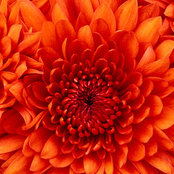 Lavina Monteiro's photo