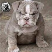 Mike Buyle's photo