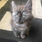 Kayla Lange's photo