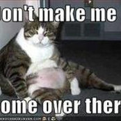 Nancy DeCicco's photo