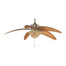 Ceiling fans