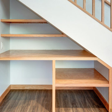 Fauntlee Hills Full Basement Remodel