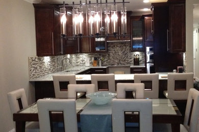 Dining room - contemporary dining room idea in Jacksonville