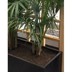 Custom Fibre Concrete Containers - Outdoor Pots And Planters