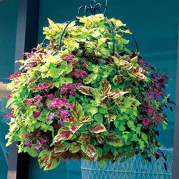 Imperial Hanging Planter - 16" Double Tier - Outdoor Decor