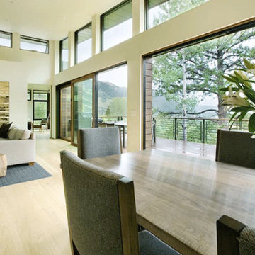 Fresh Contemporary Living Room