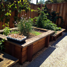 Garden ideas