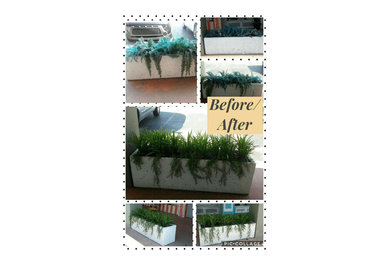 Home design - mid-sized tropical home design idea in Other