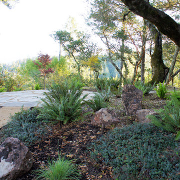 Shade garden patio
