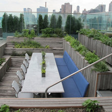 edible patios