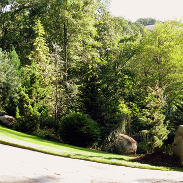 Landscape Maintenance