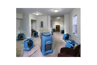 Mold Remediation and water Damage
