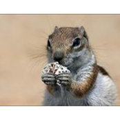Danette Holzwarth's photo