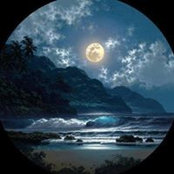 Amy Crotty's photo
