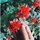 Anuj Lall