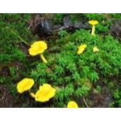 Barbara Deneke's photo
