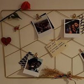 Sara Andreotti's photo