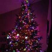 Jessie Freyn's photo