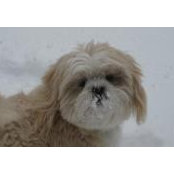 Michele Collins's photo