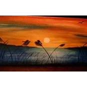 Danita Arnett's photo